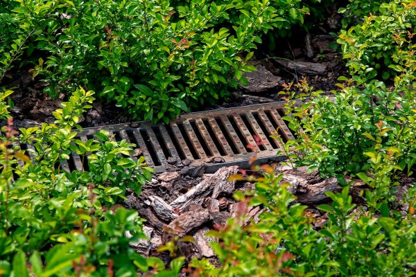 Underground Drainage Service in Mason