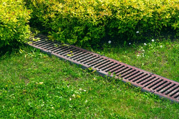Lawn Drainage in Mason