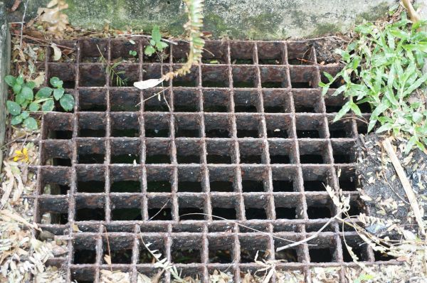 Yard Drain Cleaning in Mason