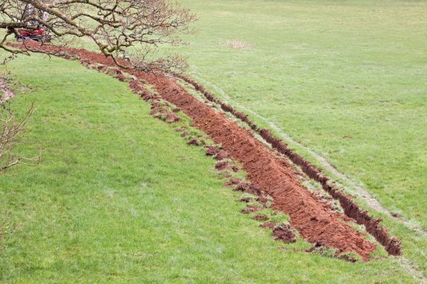 Cost of Swale Installation in Mason