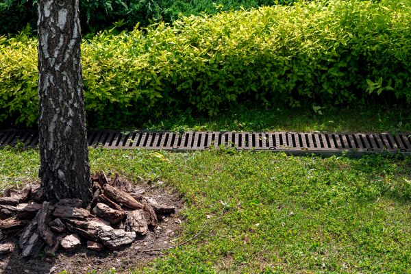 Garden Drainage Installation in Mason