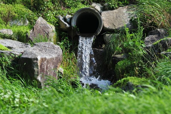 Water Redirection in Mason