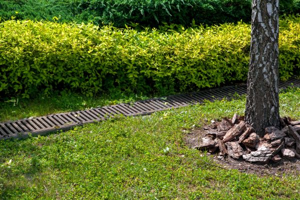 Residential Landscape Drainage in Mason