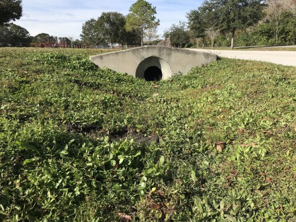 Cost of Swale Drainage Service in Mason