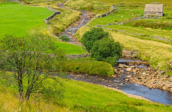 Swale Repair in Mason