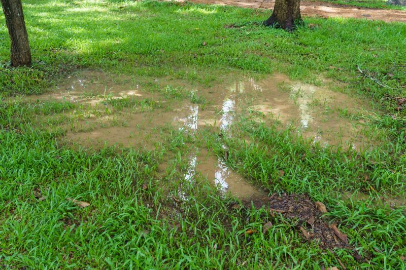 Waterlogged Yard Repair